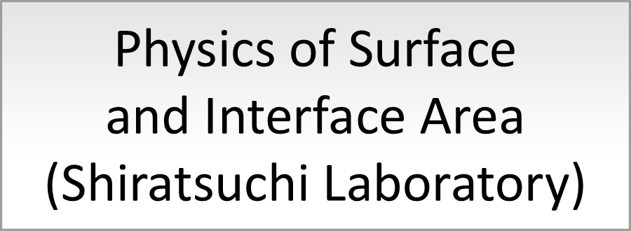 Physics of Surface and Interface Area (Nakatani Laboratory)