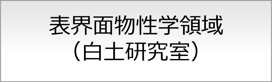 表界面物性学領域