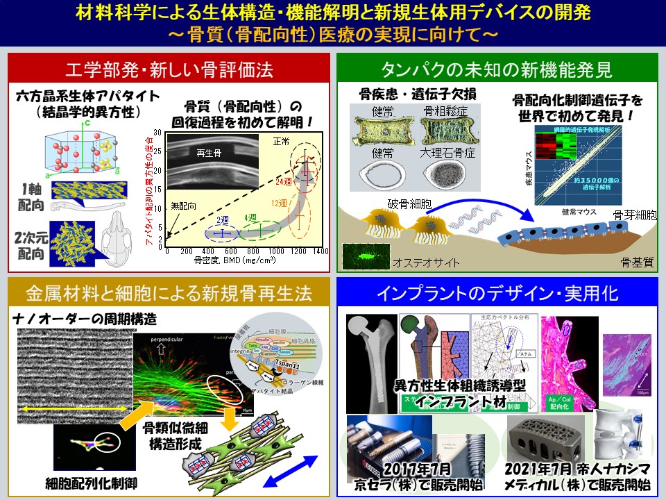 図:材料科学による生体構造・機能解明と新規生体用デバイスの開発