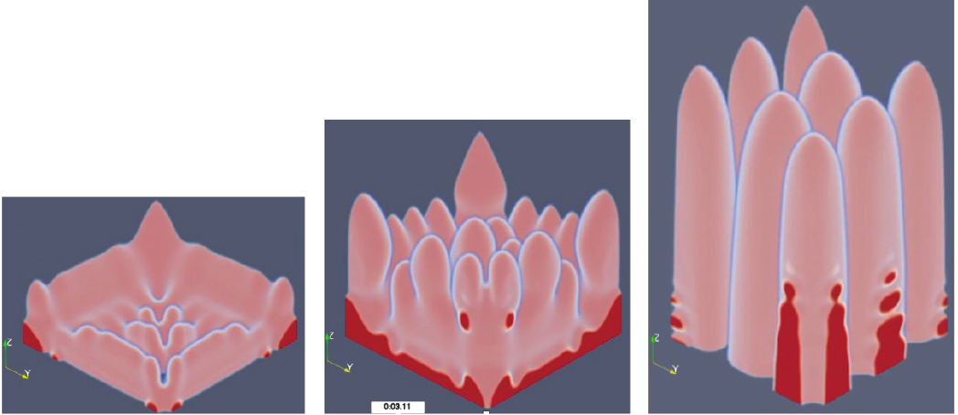 Crystal Growth Simulation by Phase-Field Method