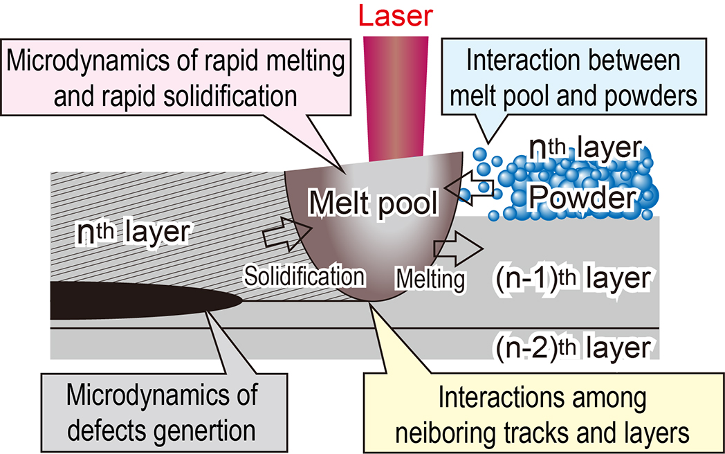 Microdynamics Occurring at Melt pool Scale