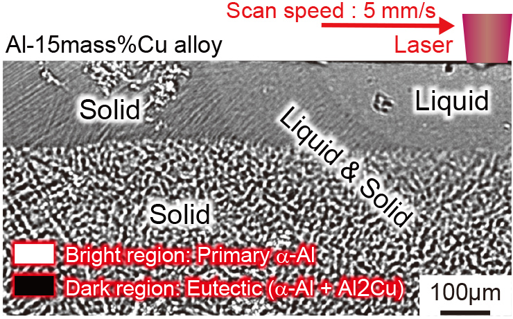 In-Situ Image of Al-15mass%Cu Alloy
The light region shows the original primary α-phase, and the dark region shows the eutectic.